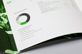 Infografiken Jahresbericht – Stellwerkost Werbeagentur Rapperswil 