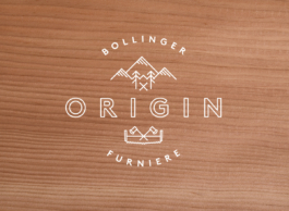 Logo Variante Bollinger Origin