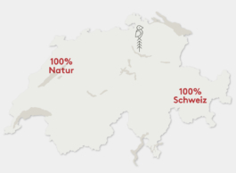 Bollinger Origin Infografik