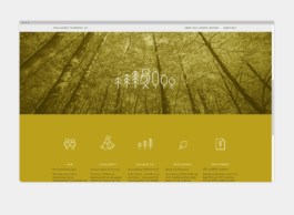 Website Bollinger Origin