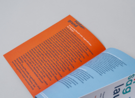 Flyergestaltung Ausstellung Ich säg was lauft