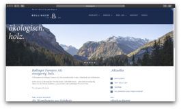 Webdesign für Bollinger Furniere AG 